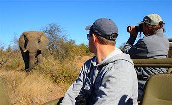 Motswari Private Game Reserve - Timbavati คลาซีรี ไพรเวท เนเจอร์ รีเซิร์ฟ ภายนอก รูปภาพ
