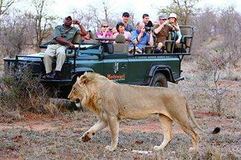 Motswari Private Game Reserve - Timbavati คลาซีรี ไพรเวท เนเจอร์ รีเซิร์ฟ ภายนอก รูปภาพ