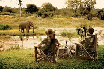 Motswari Private Game Reserve - Timbavati คลาซีรี ไพรเวท เนเจอร์ รีเซิร์ฟ ภายนอก รูปภาพ